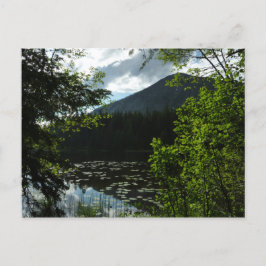 Johns Lake I in Glacier National Park Briefkaart