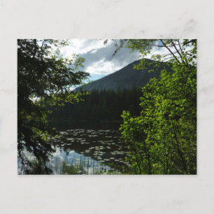 Johns Lake I in Glacier National Park Briefkaart