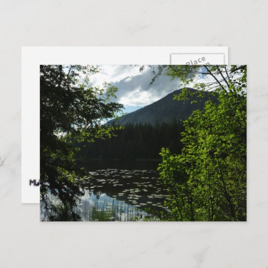 Johns Lake I in Glacier National Park Briefkaart (Voorkant / Achterkant)