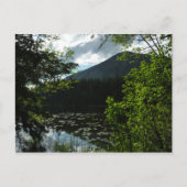 Johns Lake I in Glacier National Park Briefkaart (Voorkant)