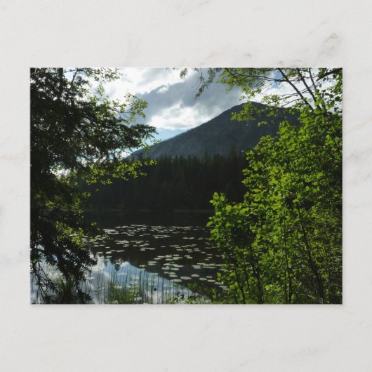 Johns Lake I in Glacier National Park Briefkaart (Voorkant)
