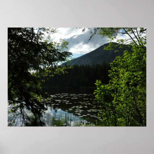 Johns Lake I in Glacier National Park Poster (Voorkant)