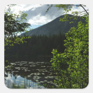 Johns Lake I in Glacier National Park Vierkante Sticker