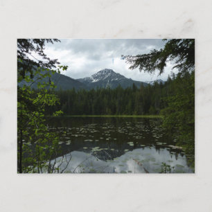Johns Lake II in Glacier National Park Briefkaart