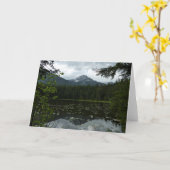 Johns Lake II in Glacier National Park Kaart (Gele Bloem)