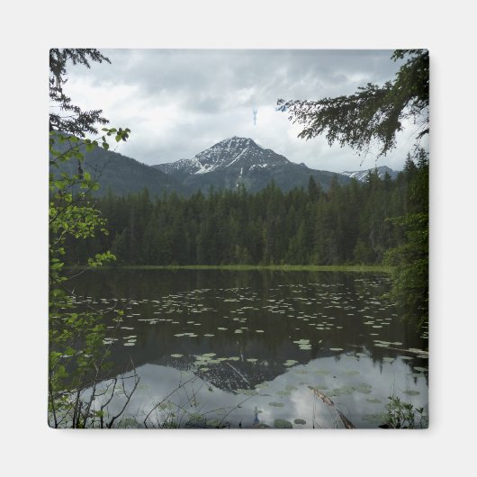 Johns Lake II in Glacier National Park Magneet (Voorkant)