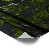 Johns Lake II in Glacier National Park Poster (Hoek)