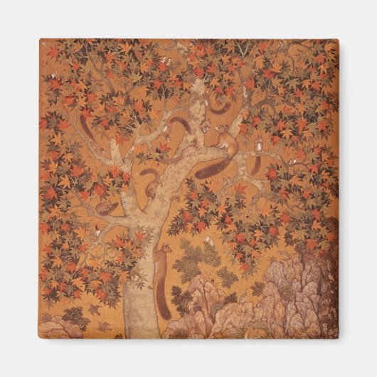 Johnson Album I, No.30 Squirrels op een vliegtuig Magneet (Voorkant)