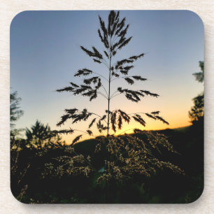 Johnson Grass Bier Onderzetter