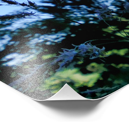 Johnson Grass Foto Afdruk (Hoek)