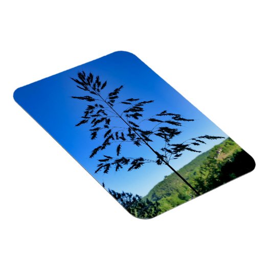 Johnson Grass Magneet (Rechterzijde)