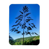 Johnson Grass Magneet (Verticaal)