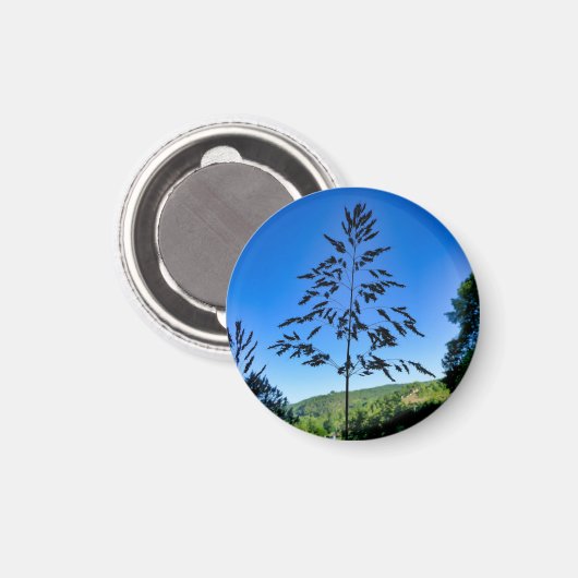 Johnson Grass Magneet (Voorkant / Achterkant)