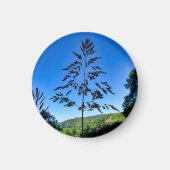 Johnson Grass Magneet (Voorkant)