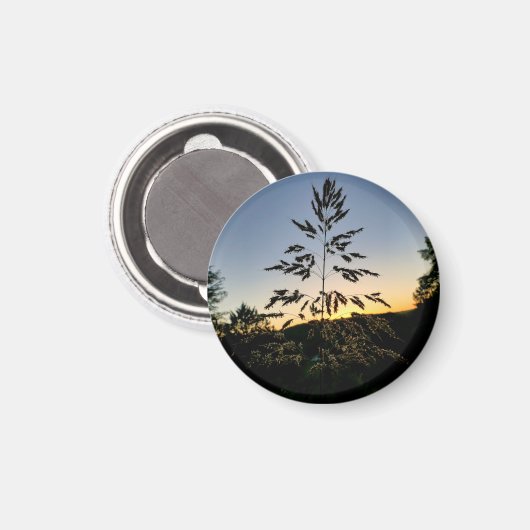 Johnson Grass Magneet (Voorkant / Achterkant)