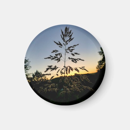 Johnson Grass Magneet (Voorkant)