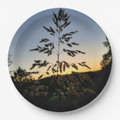 Johnson Grass Paper Bord (Voorkant)