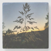 Johnson Grass Stenen Onderzetter (Voorkant)