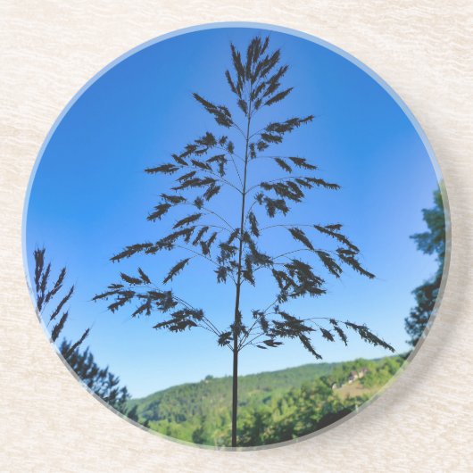 Johnson Grass Zandsteen Onderzetter (Voorkant)