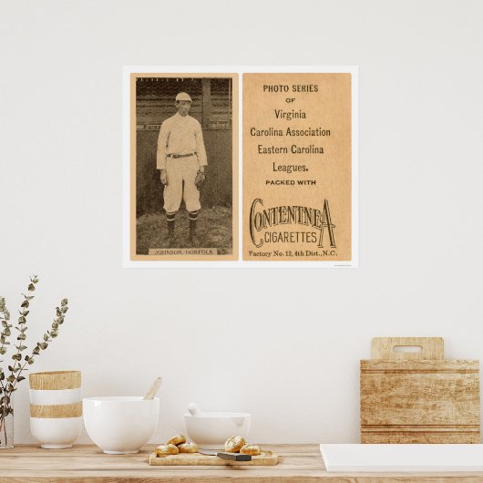 Johnson Norfolk Baseball 1910 Poster (Keuken)