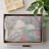  Johnson's Map of the United States (1866) Tissuepapier (Geschenk)