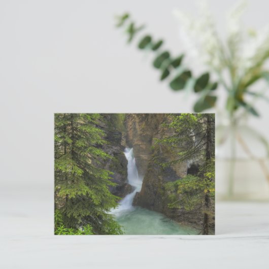 Johnston Canyon Briefkaart (Staand voorkant)