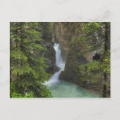 Johnston Canyon Briefkaart (Voorkant)