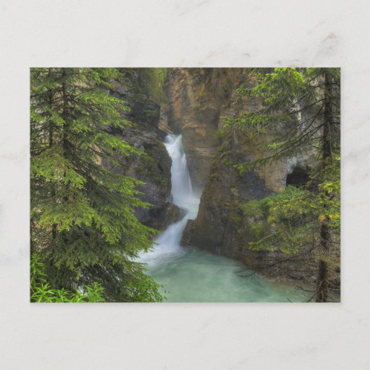 Johnston Canyon Briefkaart (Voorkant)