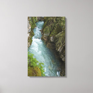 Johnston Canyon Canvas Afdruk