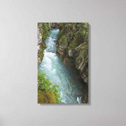 Johnston Canyon Canvas Afdruk (Voorkant)