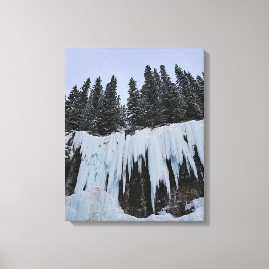 Johnston Canyon Canvas Print (Voorkant)