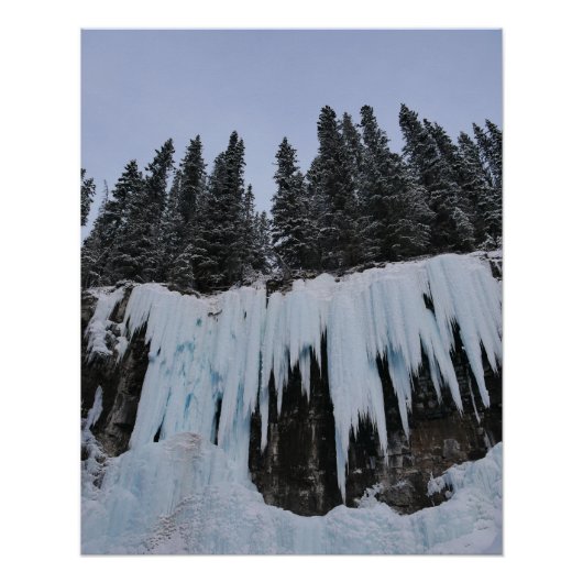 Johnston Canyon Poster (Voorkant)