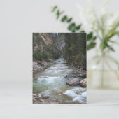 Johnston Canyon Stap Herfsten Briefkaart (Staand voorkant)