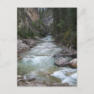 Johnston Canyon Step Herfsten Briefkaart