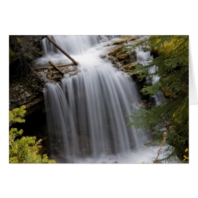 Johnston Canyon Waterfall (Voorkant Horizontaal)