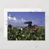 Johnston Island National Wildlife Refuge Briefkaart (Voorkant / Achterkant)