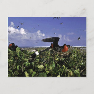 Johnston Island National Wildlife Refuge Briefkaart