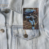 Johnston Vintage Blauwe Paradijsvogel Illustratie Button (Insitu)