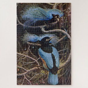 Johnston Vintage Blauwe Paradijsvogel Illustratie Legpuzzel