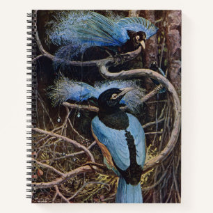 Johnston Vintage Blauwe Paradijsvogel Illustratie Notitieboek