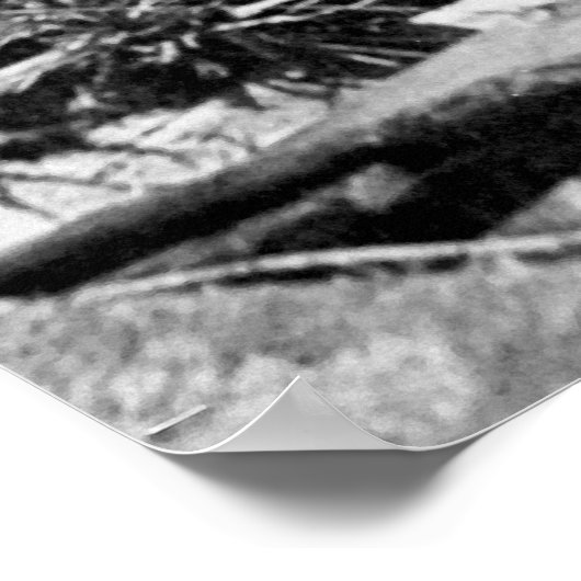 Johnstown Flood Train Wreck Poster (Hoek)