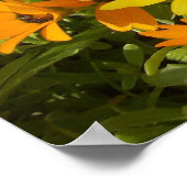 Joie de Vivre (1) Poster (Hoek)