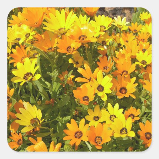 Joie de Vivre (1) Stickers (Voorkant)