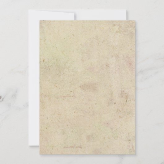 Joint Twin Baseball Birthday Invitation Kaart (Achterkant)