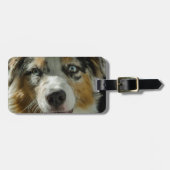 Joker Boy Bagagelabel (Voorkant horizontaal)