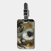 Joker Boy Bagagelabel (Voorkant verticaal)