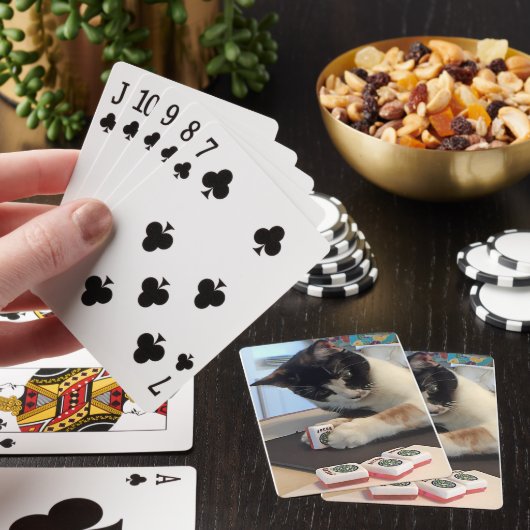 Joker cat pokerkaarten (Insitu)