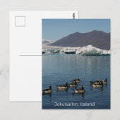Jokulsarlon IJsland Briefkaart (Voorkant / Achterkant)