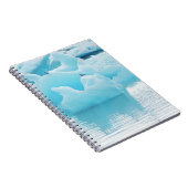 Jökulsárlón sterns notitieboek (Rechterzijde)