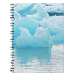 Jökulsárlón sterns notitieboek